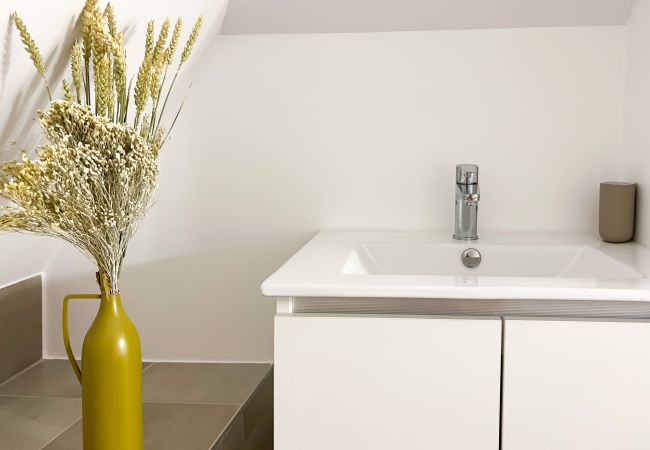 Appartement à Annecy - Rainbow rue carnot 4 adultes et 1 enfant Appartement à Annecy - Rainbow rue carnot 4 adultes et 1 enfant