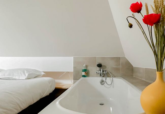 Appartement à Annecy - Rainbow rue carnot 4 adultes et 1 enfant Appartement à Annecy - Rainbow rue carnot 4 adultes et 1 enfant