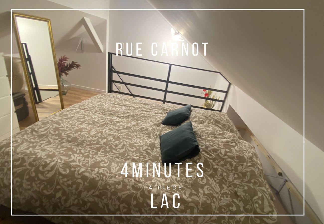 Appartement à Annecy - Rainbow rue carnot 4 adultes et 1 enfant