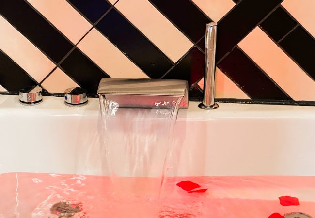 Appartement à Annecy - Flamant Rose proche Pâquier avec balneo et parking Appartement à Annecy - Flamant Rose proche Pâquier avec balneo et parking