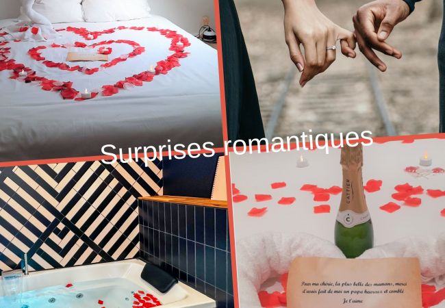 Appartement à Annecy - Flamant Rose proche Pâquier avec balneo et parking Appartement à Annecy - Flamant Rose proche Pâquier avec balneo et parking