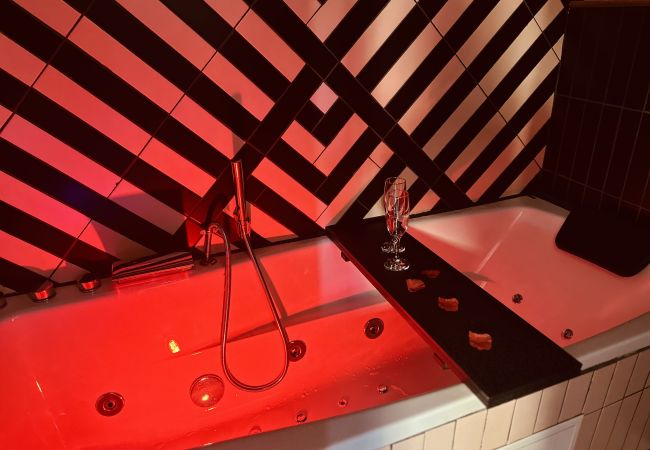 Appartement à Annecy - Flamant Rose proche Pâquier avec balneo et parking Appartement à Annecy - Flamant Rose proche Pâquier avec balneo et parking