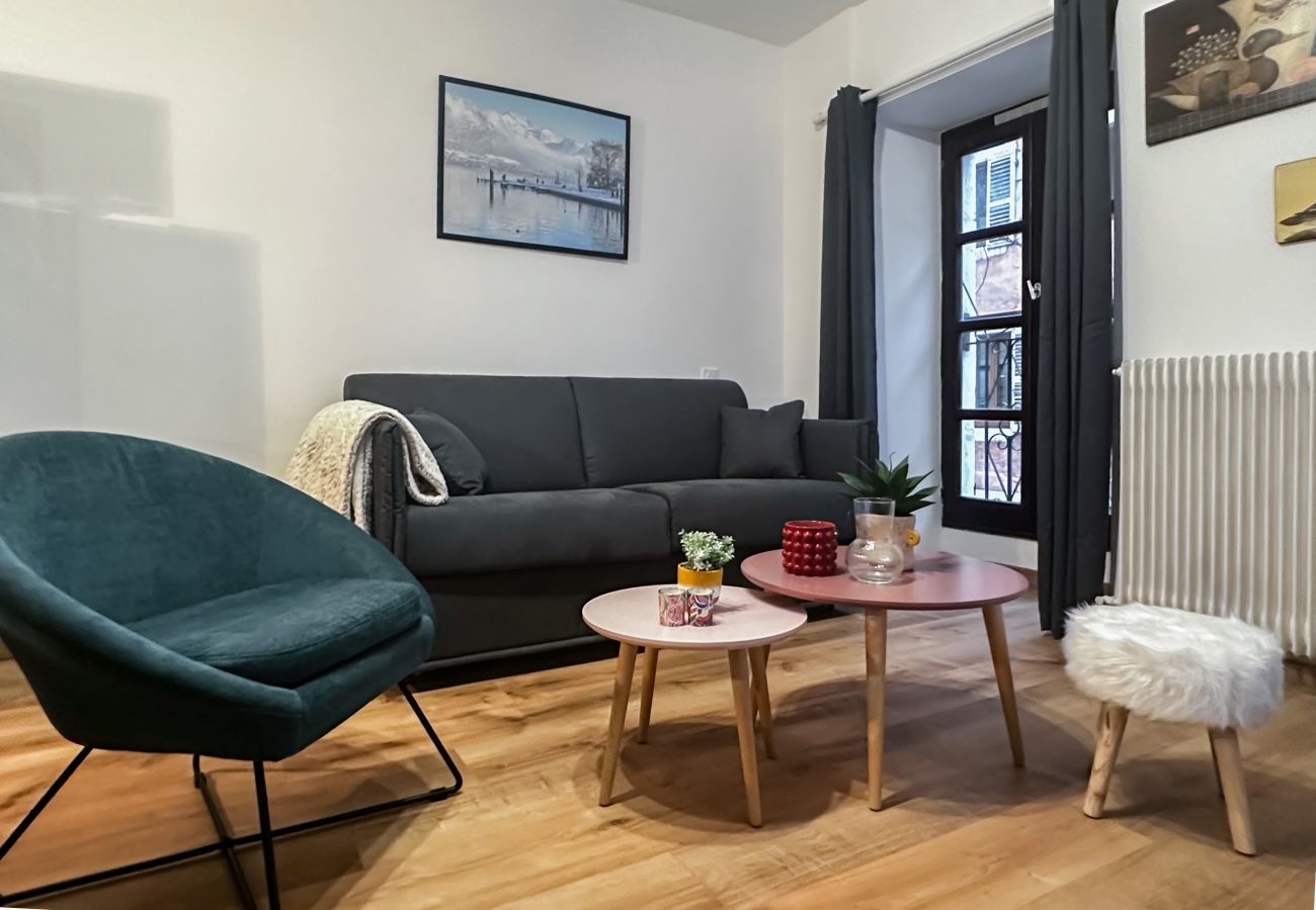 Appartement à Annecy - Edelweiss rue carnot 