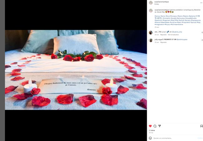 Appartement à Annecy - Petit Swan rue carnot Appartement à Annecy - Petit Swan rue carnot