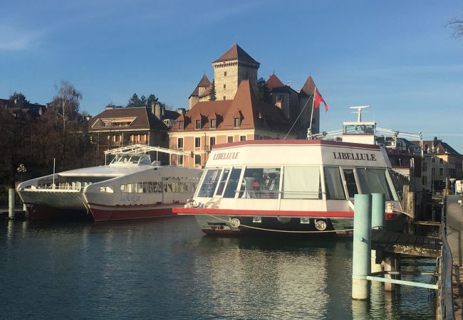 Studio à Annecy - Ancolie centre Annecy proche courrier Studio à Annecy - Ancolie centre Annecy proche courrier