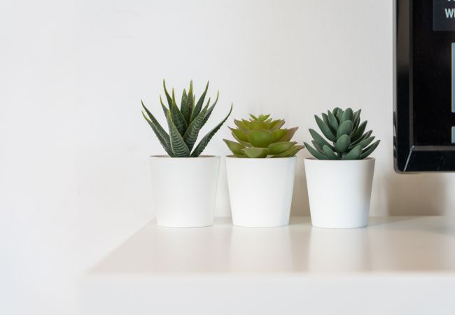 Studio à Annecy - Ancolie centre Annecy proche courrier Studio à Annecy - Ancolie centre Annecy proche courrier