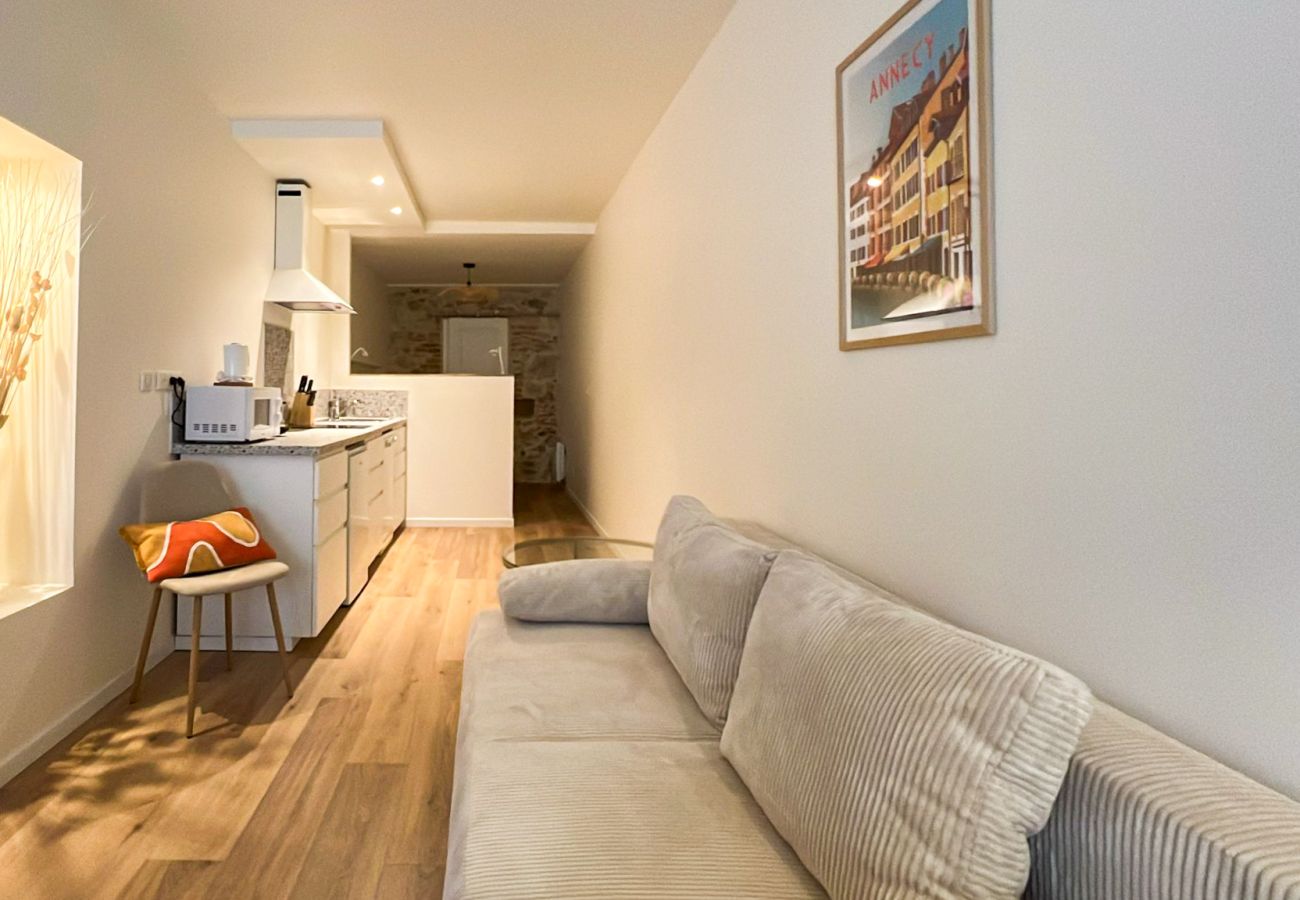 Studio à Annecy - Zenith rue Royale