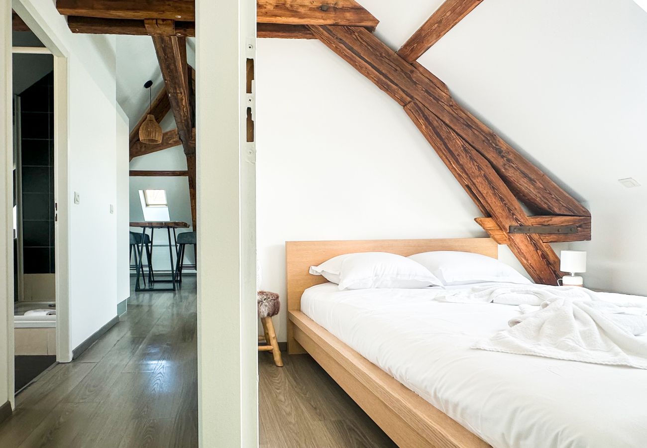 Appartement à Annecy - Da vinci rue sommeiller super emplacement