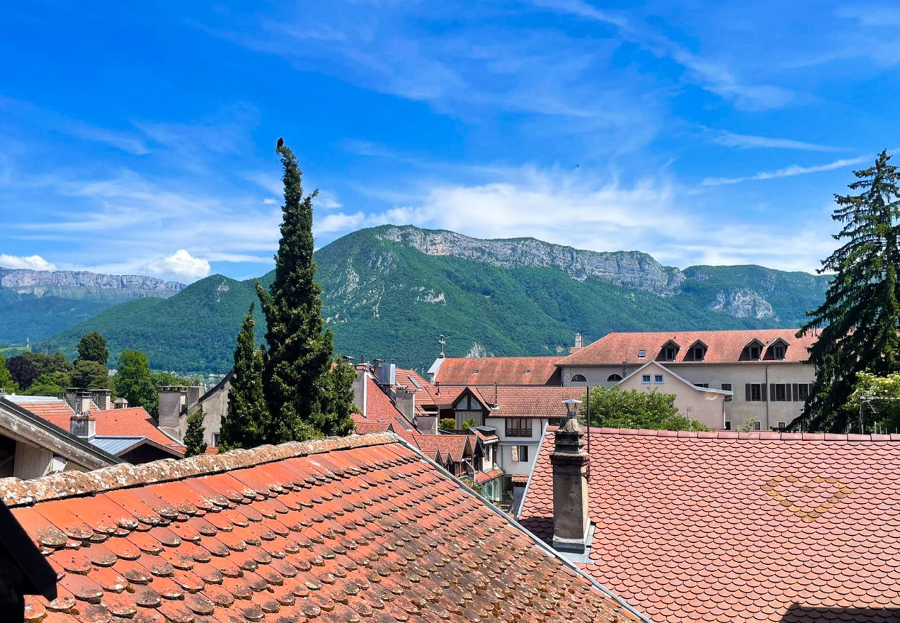 Studio à Annecy - Chat perché