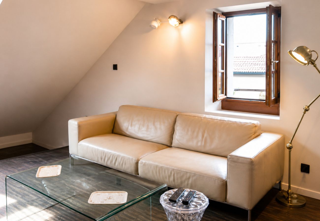 Appartement à Annecy - Charmoisy loft vue sur le canal