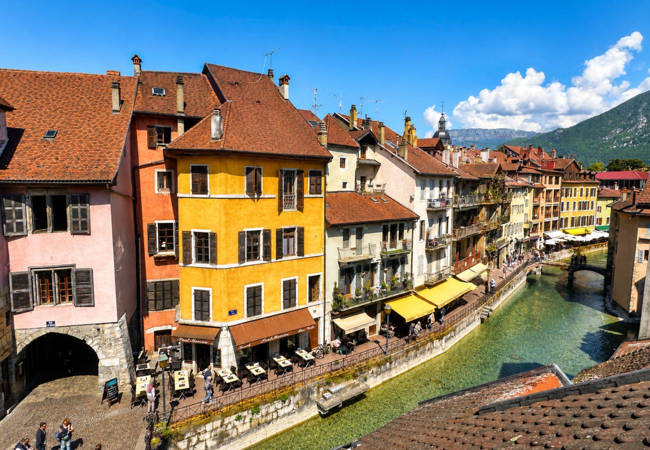Appartement à Annecy - Charmoisy loft vue sur le canal