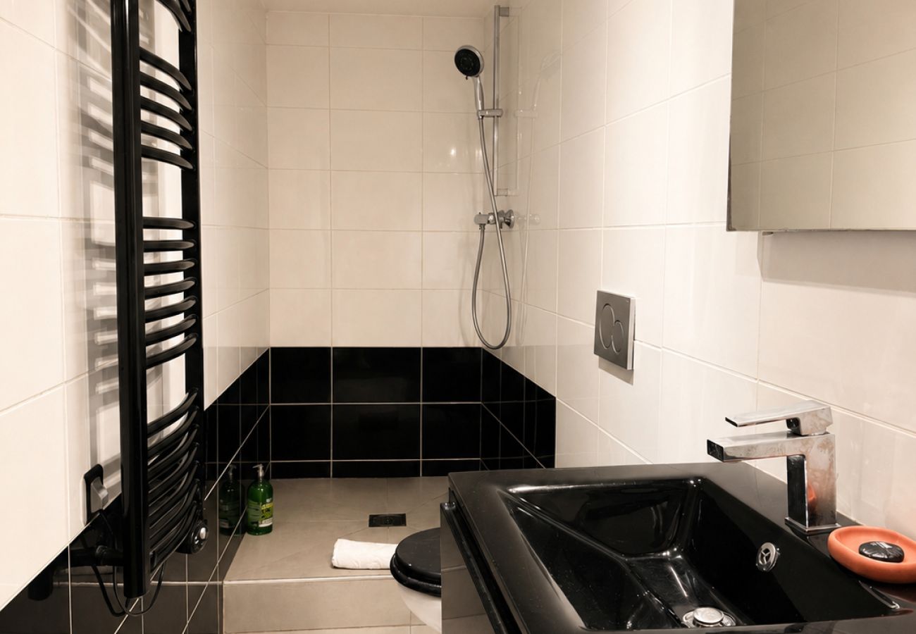 Appartement à Annecy - Charmoisy loft vue sur le canal